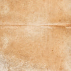 files/2318_a_2e852947-7ace-4e9a-b135-daa3a01f63c4.jpg