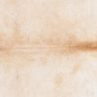 files/2324_a_2509d31e-01b5-42f0-9e5f-e9e71a4c894d.jpg
