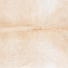 files/2340_a_299d8210-089f-4d44-84c4-9d7d102069b3.jpg