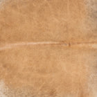 files/2351_a_594a9cc9-5e8e-441f-b6ab-7fbb2820c6dc.jpg