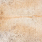 files/2356_a_4a8f0f55-0a3d-43c9-96f4-4b68afdb94ff.jpg
