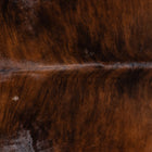 files/2375_a_28cecb8d-b6d7-4b4e-9c4f-76ea83250d1f.jpg