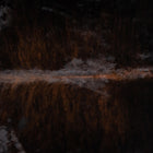 files/2392_a_09bb84ab-dae2-46ea-a9e1-3b6f5cc16bd0.jpg