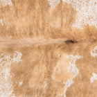files/2397_a_85ffa978-d391-4245-ae57-2df4f9c6e7c2.jpg