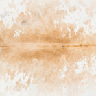 files/2399_a_3219f42d-6ad3-4fc5-a5a7-ea93c7991c9f.jpg