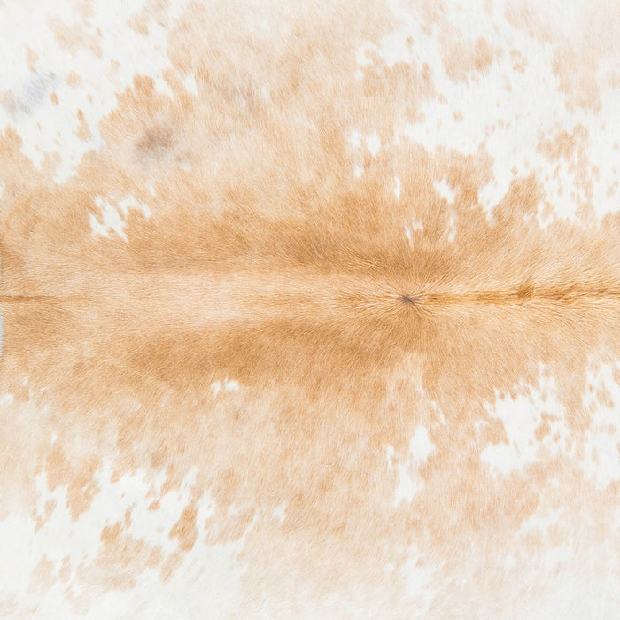 Brazilian Palomino and White Cowhide Rug Size 7'7" L x 6'6" W 2399