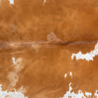 files/2400_a_c2de5755-ee66-4b33-a111-a945955bd367.jpg