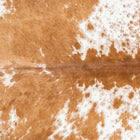 files/2417_a_f7e00a43-fa6c-4a8a-8555-b59a6410e2ab.jpg