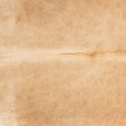 files/2461_a_73b847ed-1b51-47bf-a63a-872110824940.jpg