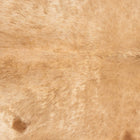 files/2487_a_94e812ec-a28c-4185-b22c-81376d6ba813.jpg