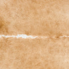 files/2507_b_dc6cb3b0-5b7b-4d23-bb7d-76d357cd0a36.jpg