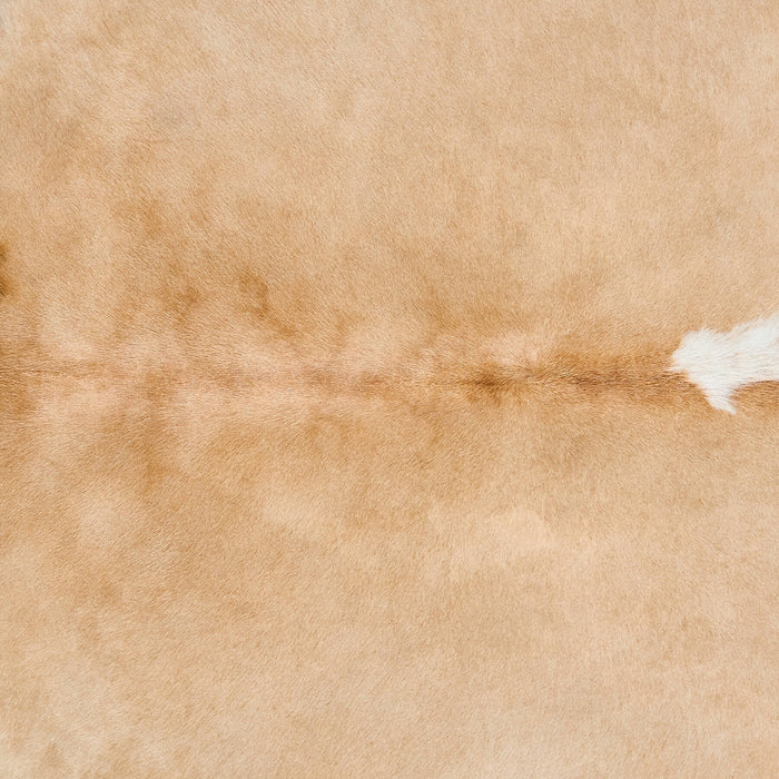 Brazilian Palomino and White Cowhide Rug Size 6'7" L x 5'7" W 2513