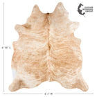 files/2515_c_0b20f445-7b7c-452c-a981-ba301e63b7cd.jpg