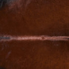files/2521_b_32aaf556-2995-4159-bc7d-258c1eb2275a.jpg