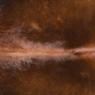 files/2524_b_22b9aad3-5ef6-496f-813a-499e9d02a887.jpg