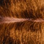 files/2537_b_a653d6e1-5395-412e-b674-dd46d889f004.jpg