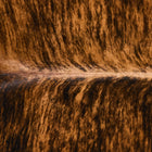 files/2539_b_fb746369-b0e5-4715-a563-b05e0b91f3d7.jpg