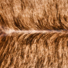 files/2542_b_dea3e44f-ad64-4009-b0b3-5c9fa8903189.jpg
