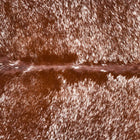 files/2589_b_00e4e892-0b0d-4644-9ced-c892b3716b60.jpg