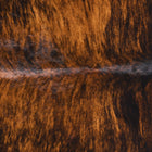 files/2602_b_9eb44e24-5230-40b5-adc7-0194c3681e4d.jpg