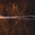 files/2618_b_8e57a812-35aa-41d7-b96a-f82136d3194b.jpg