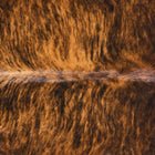files/2620_b_50daa343-b231-48ab-8a57-cd685a17bc13.jpg