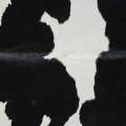 files/2642_b_4d0f730b-78af-4d40-93c3-f39e54f01cd2.jpg