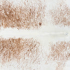 files/2666_b_ff1d9ebd-5e6a-48a8-9bfd-f8092a6ea5f9.jpg