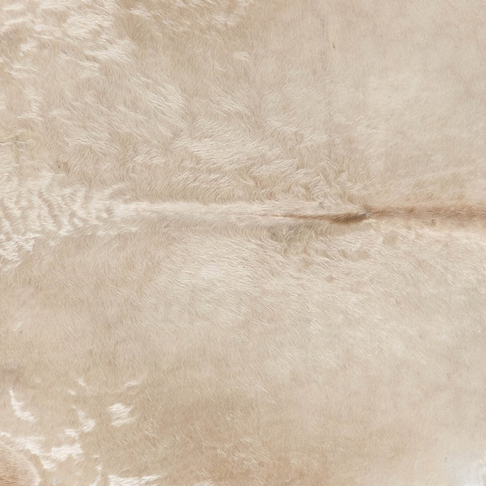 Brazilian Champagne Cowhide Rug Size 6'5" L x 6'5" W 2684