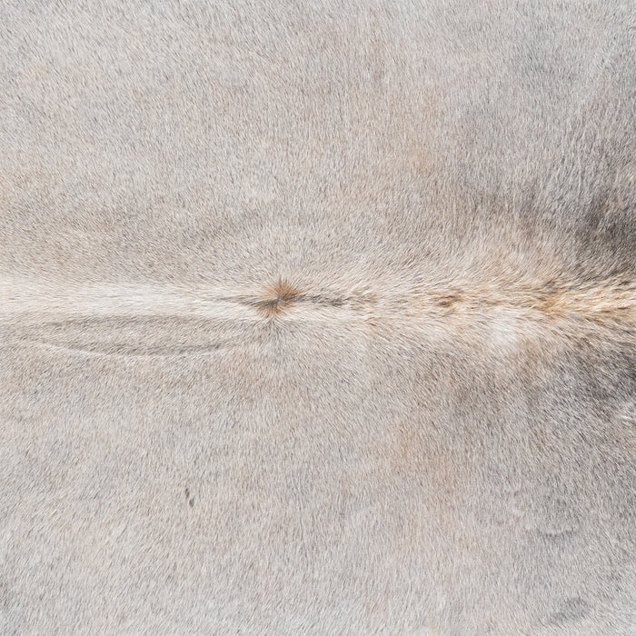 Brazilian Grey Palomino Cowhide Rug Size 7'10" L x 6'9" W 6127