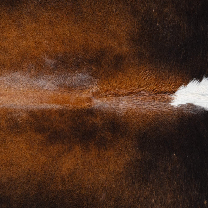 Brazilian Chocolate and White Cowhide Rug Size 6'10" L x 6'3" W 2709
