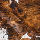 files/2801_c_267e73c0-a170-4b71-9240-027e01b3d0b2.jpg