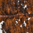 files/2803_b_1679bcb5-84d5-4b06-9db6-eef6e03603f7.jpg