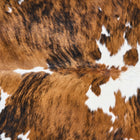files/2806_b_a31053c8-4830-4b1a-818c-6c446618b596.jpg