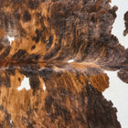 files/2814_b_ab9db4c1-da64-4cd7-81c1-da5f2c98364b.jpg
