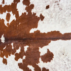 files/2824_b_e6564f45-c44d-46ca-97de-a9b2cd3cf1b0.jpg
