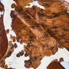 files/2830_c_d598fd20-2ed0-4da0-b43a-77b019df55d5.jpg