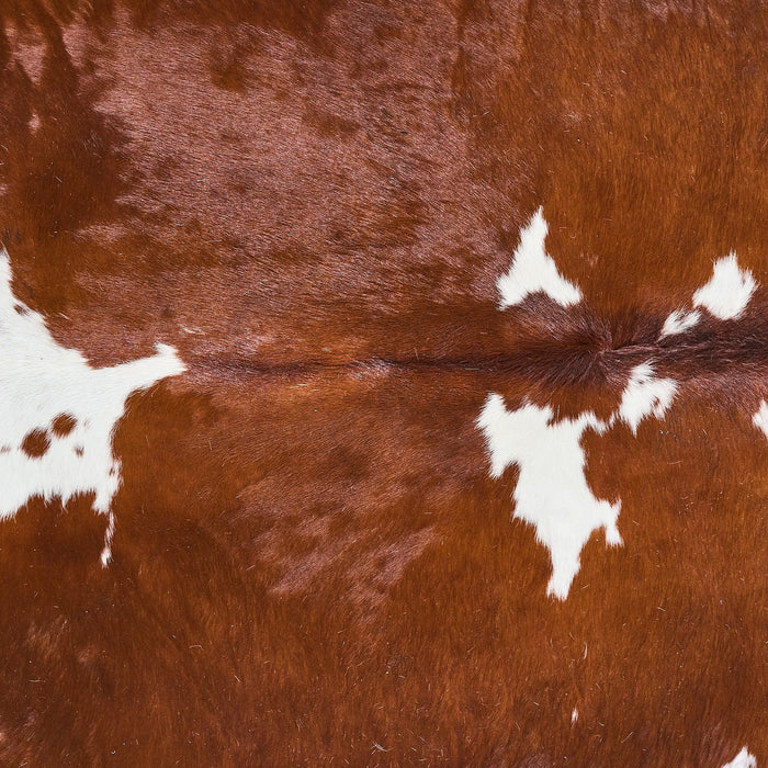 Brown and White Cowhide Rug Size 7'10" L x 6'10" W 2831