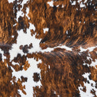files/2833_b_6ec0da78-1fcd-4035-b46d-aecc705bfc32.jpg