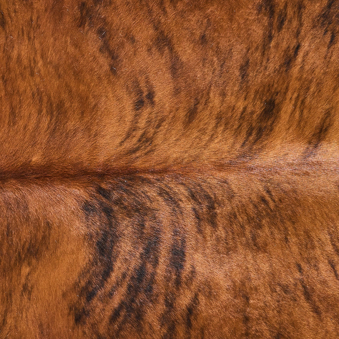 Brindle Cowhide Rug Size 6'6" L x 6'4" W 2834