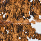 files/2856_b_5f06b523-2a72-41e6-b7cc-2cc0e575f8d3.jpg