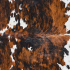 files/2859_b_4c70a3e1-0dca-4bce-a7d2-a4f02e22ad44.jpg
