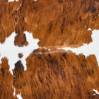 files/2866_b_0f0abf0c-e0b6-4c5b-b520-d76e0f6f8dff.jpg