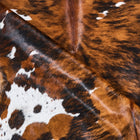 files/2867_c_8ca72e89-a4b4-4b83-9524-03153610ea24.jpg