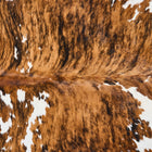 files/2870_b_221356cb-8509-4748-91b3-211f1c1552e8.jpg
