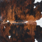 files/2872_b_6fc1c592-c609-4adb-aff6-d4629ac20f16.jpg
