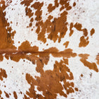 files/2880_b_d09447c2-e6d5-4322-8ae3-b13fc7393dff.jpg