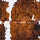 files/2881_b_75b3274c-ca16-436a-9e5e-e67930eb83ea.jpg