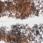 files/2886_b_89e4dfd8-5512-4c00-b1ac-44d117e6a556.jpg
