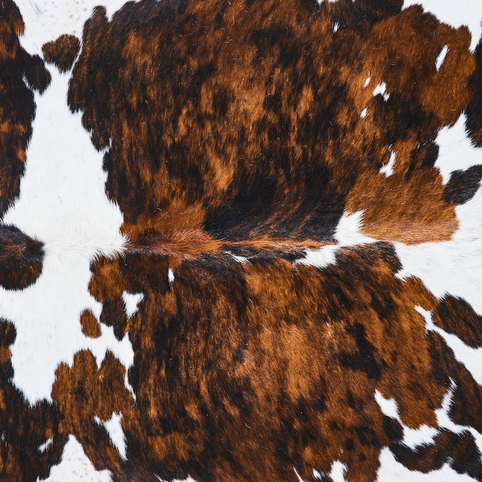 Tricolor Cowhide Rug Size 6'9" L x 5'11" W 2892